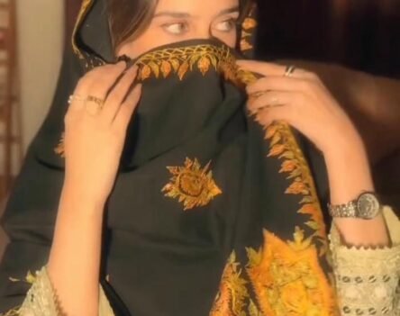 79+ Kashmiri girls dp traditional vibe with modern touch