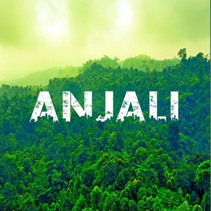 anjali name dp hd