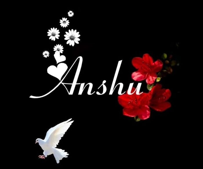 ashu name dp pinterest hot hd