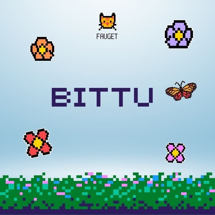 bittu name dp hot aethetics full hd