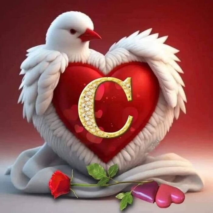 c name dp pinterest photo hot