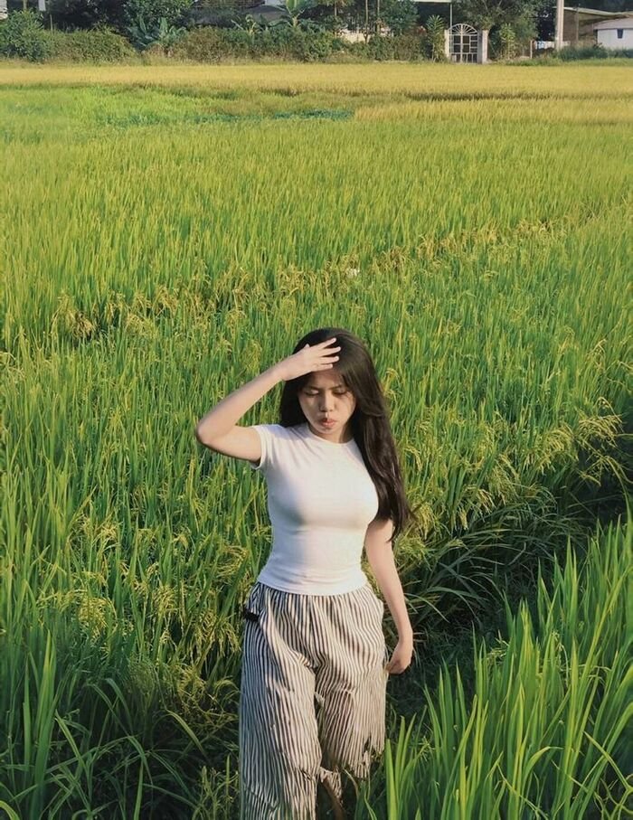 calm village girl dp