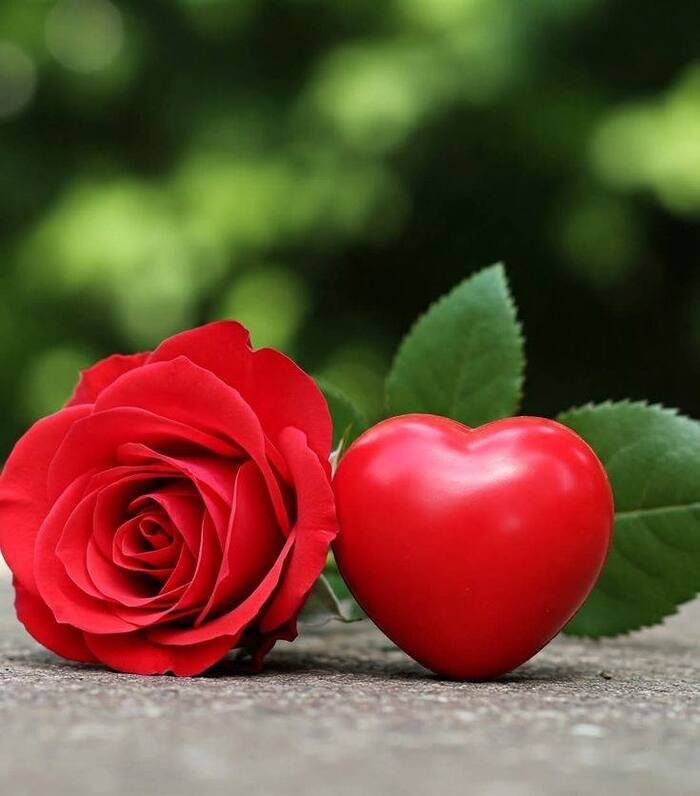 photo_9_2025-11-11_22-18-24