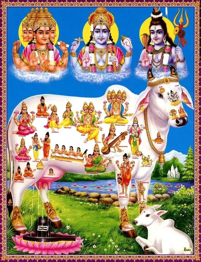 cow god images basic hd