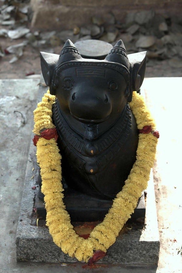 god nandi protector of dharma