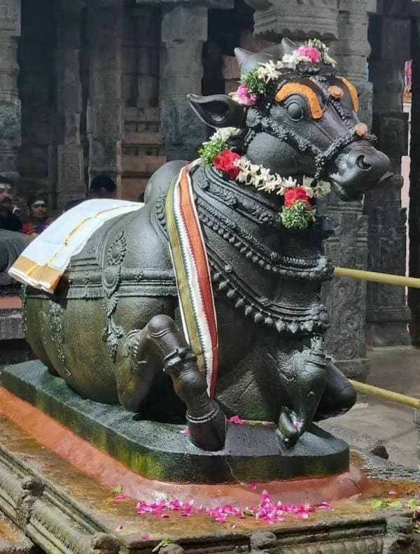 god nandi stone carving photos