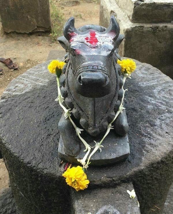 lord nandi swamy blessing wallpaper