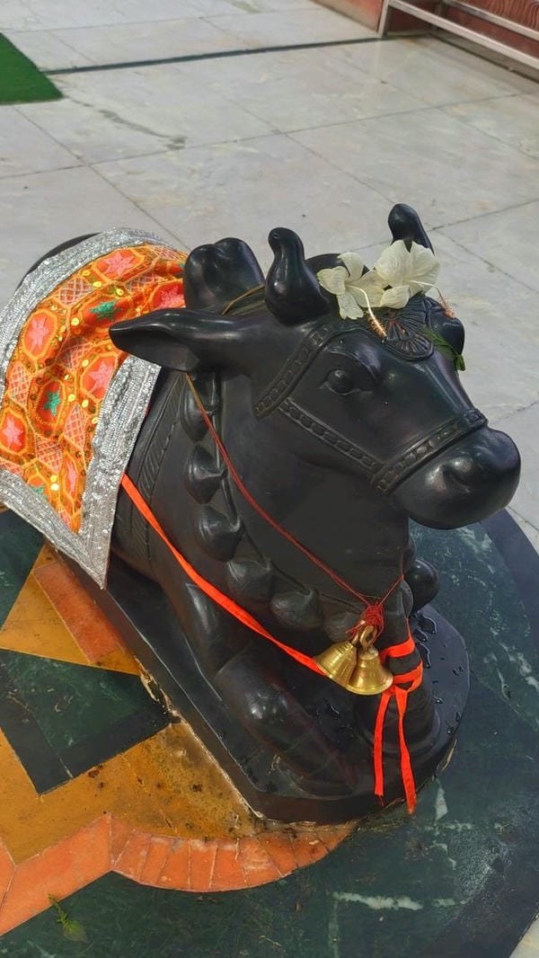nandi bull devotion wallpaper hd