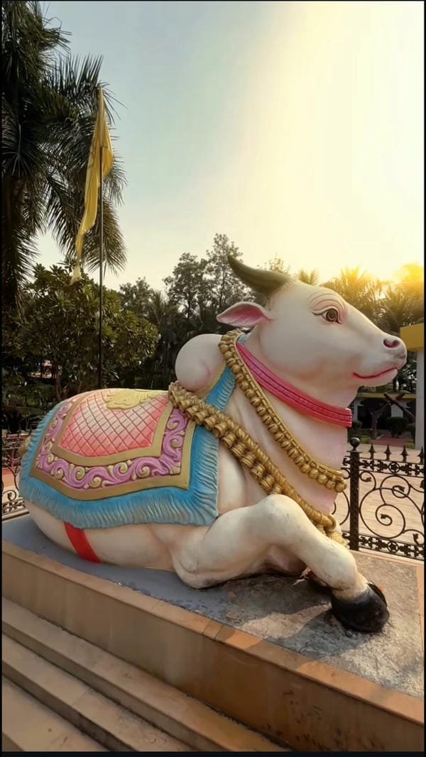 nandi bull mythology inspired images