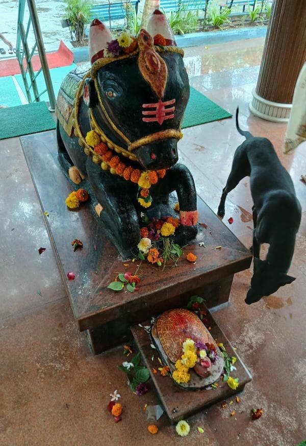 powerful god nandi spiritual art