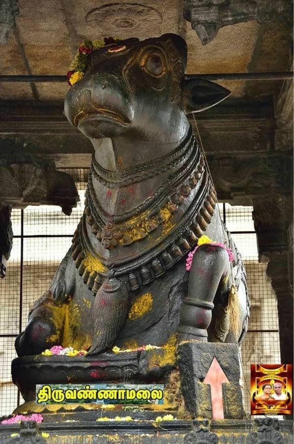 sacred nandi statue sunset photos